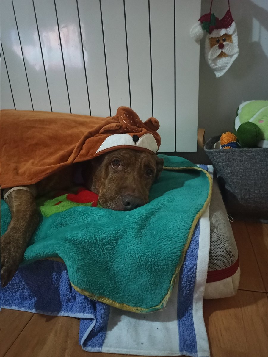 El amor de mi vida 🖤