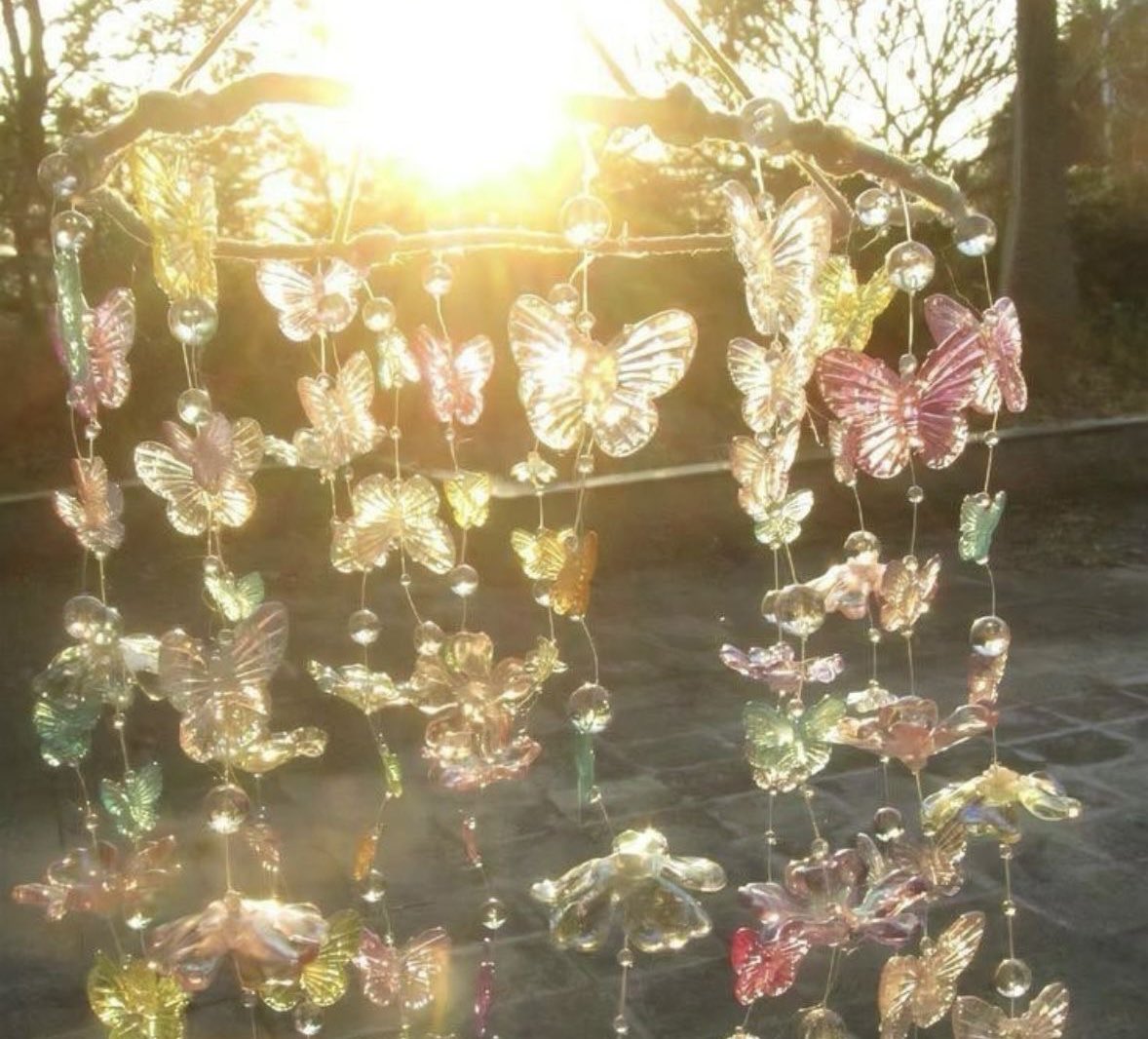 ⋆｡°✩ dollie ⋆⭒˚.⋆ tweet media