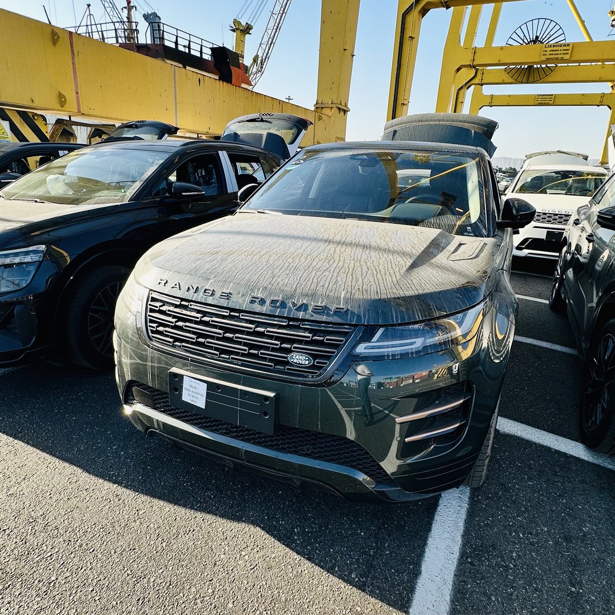 مِستردُکی tweet media