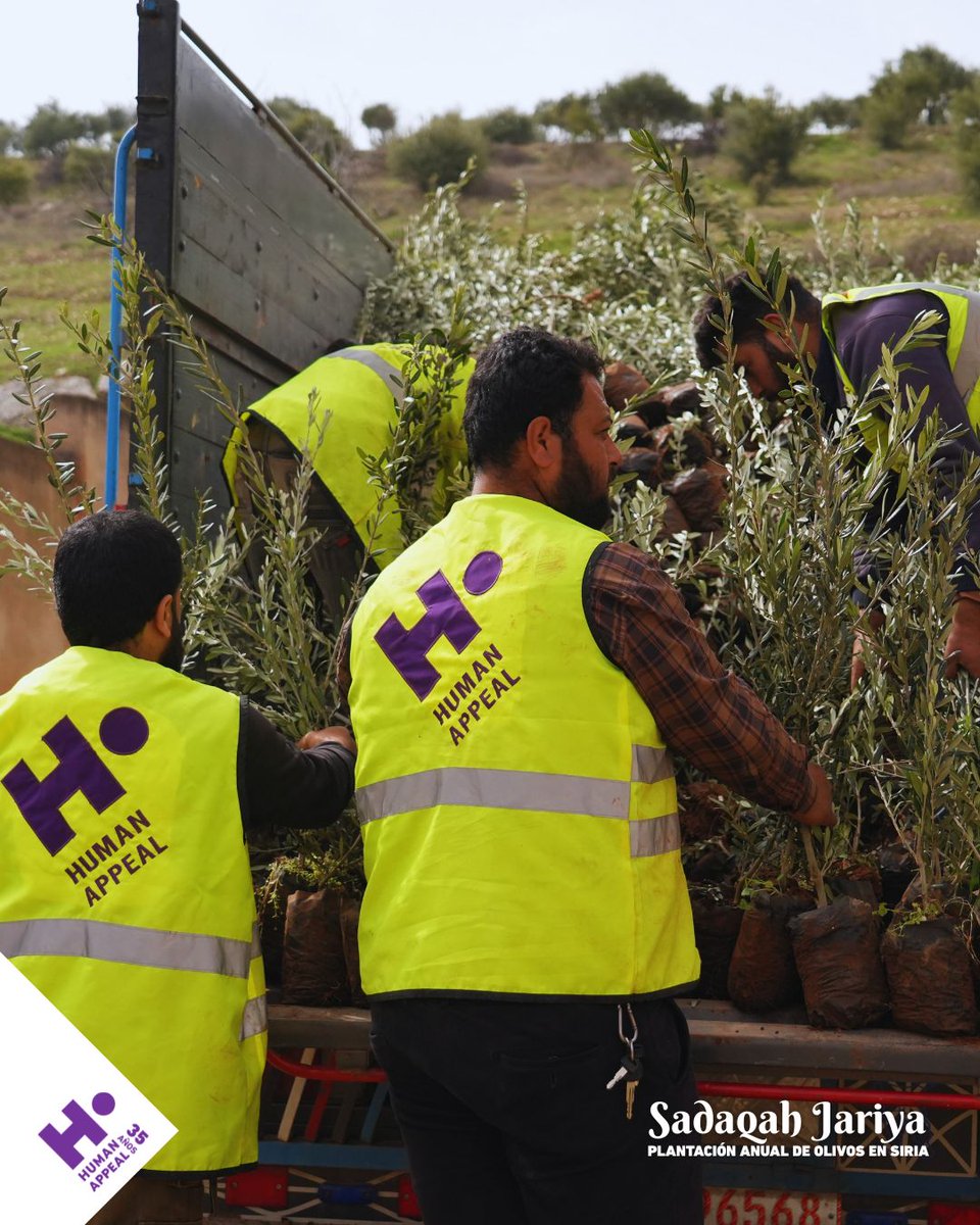 HumanAppeal_ES's tweet photo. Añadimos formación sobre técnicas agrícolas para mejorar crecimiento y productividad.

Un proyecto clave para recuperar medios de vida de familias y comunidades, mejorar seguridad alimentaria y restaurar agrícola y paisajísticamente áreas tras años de conflicto y desplazamiento. https://t.co/TXfMzjymLx