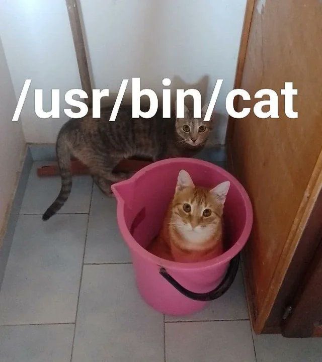 Abdulkadir | Cybersecurity tweet media