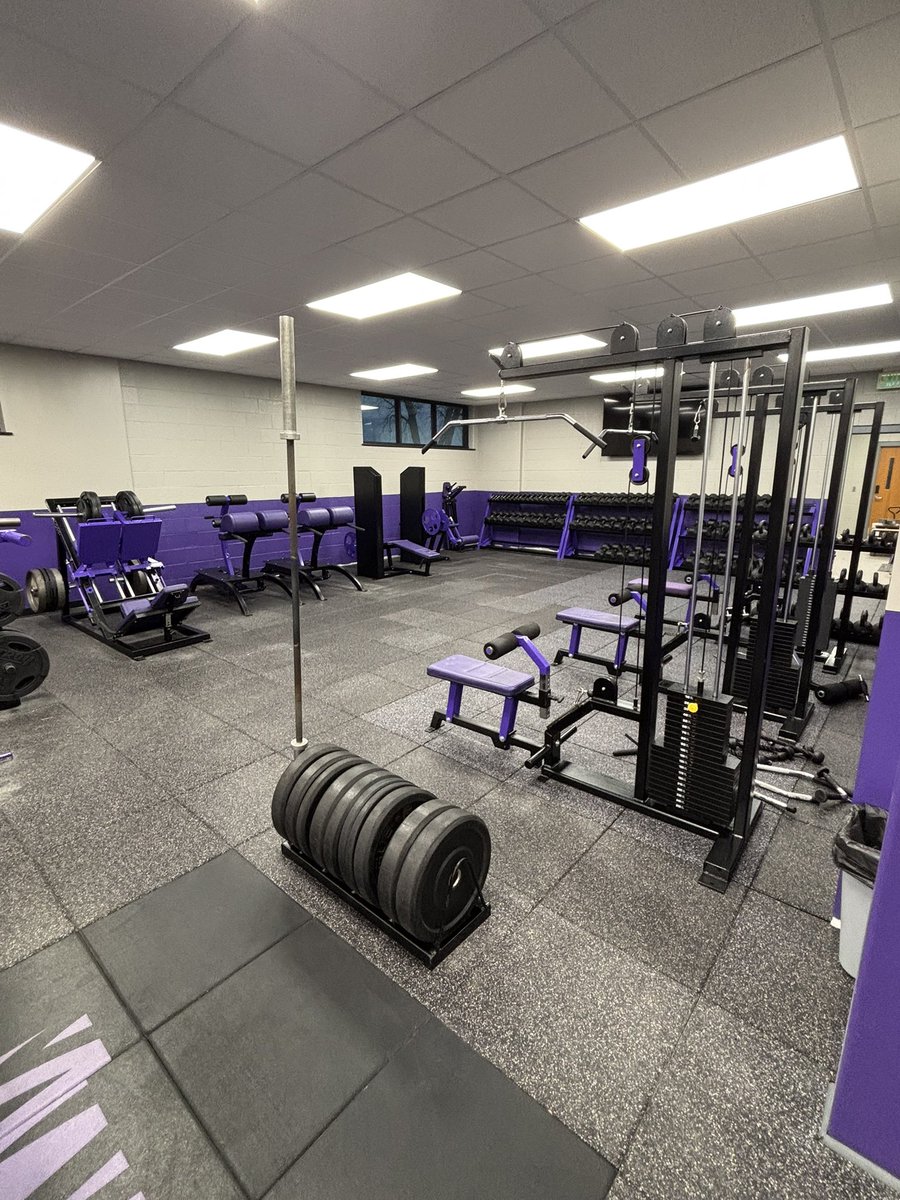 Shane Turnipseed tweet media