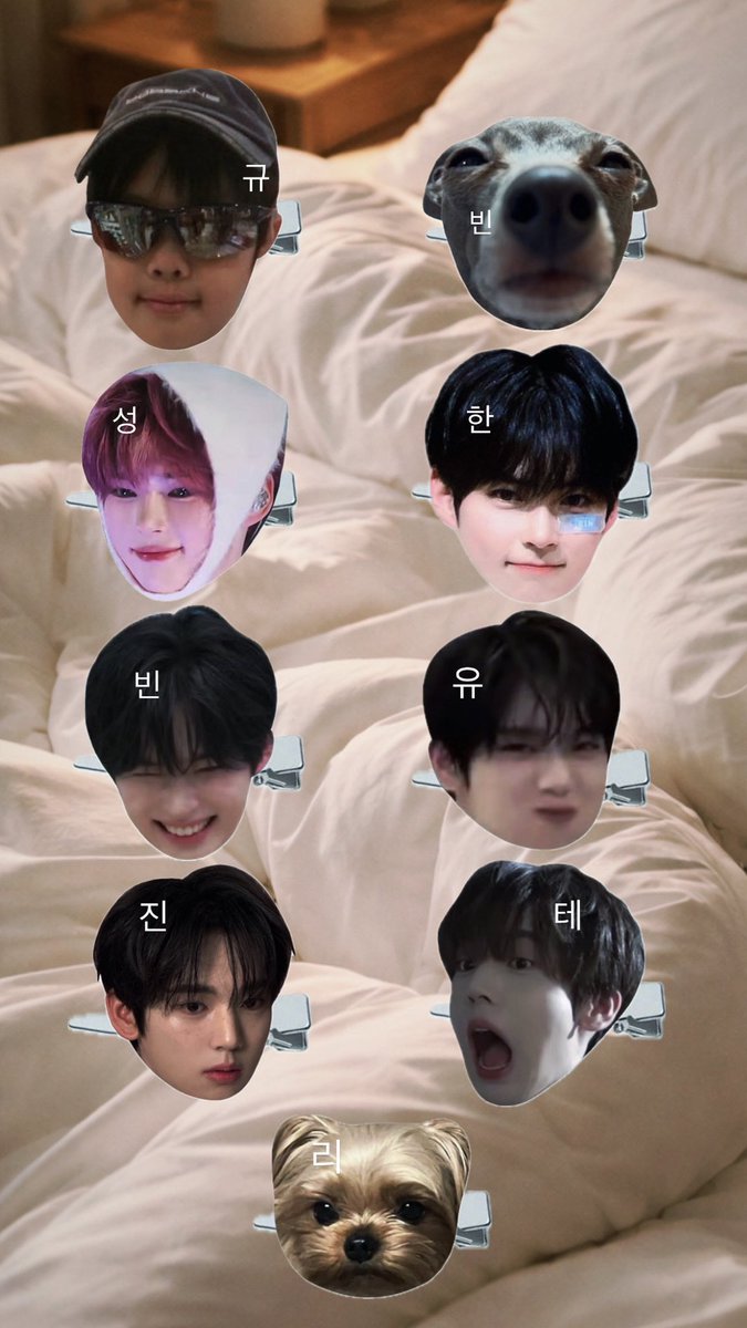 쏭 tweet media