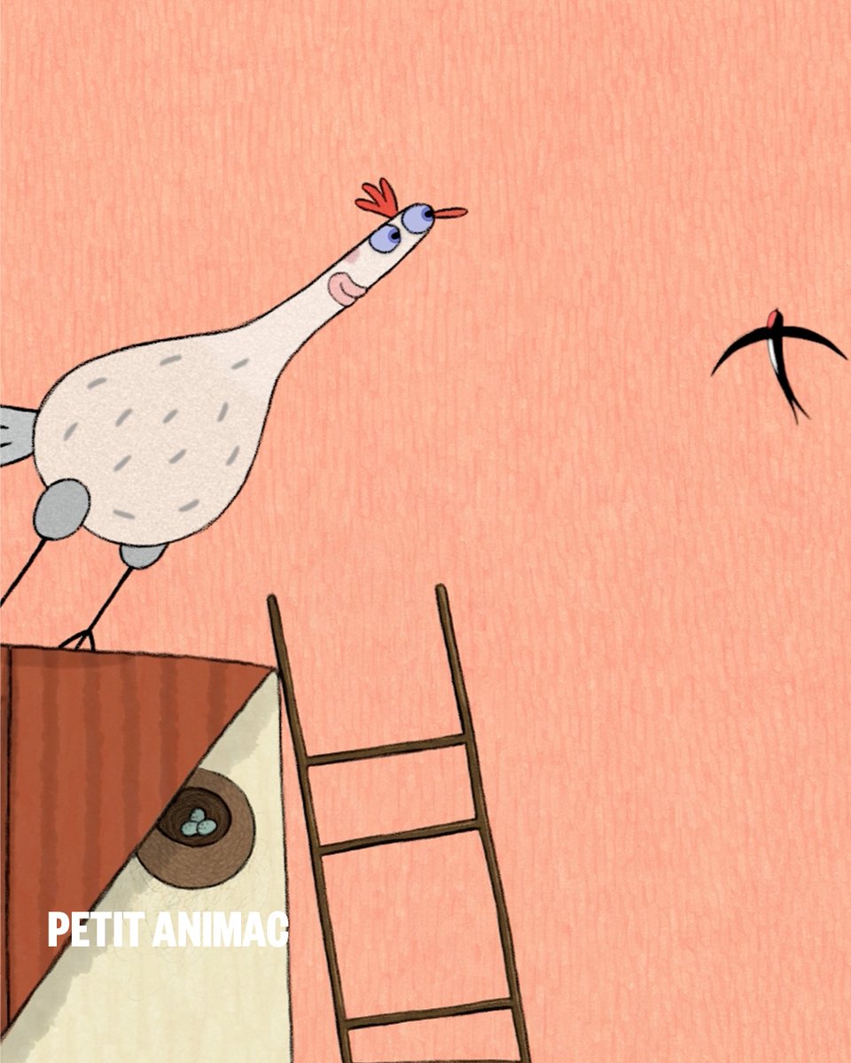 Acció Cinema tweet media