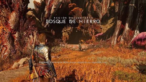 Hakari Bostero tweet media