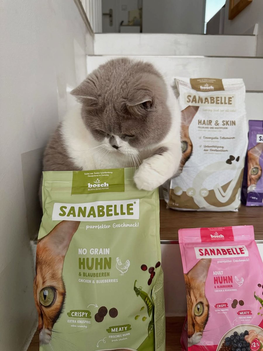 Sanabelle Cat Food tweet media