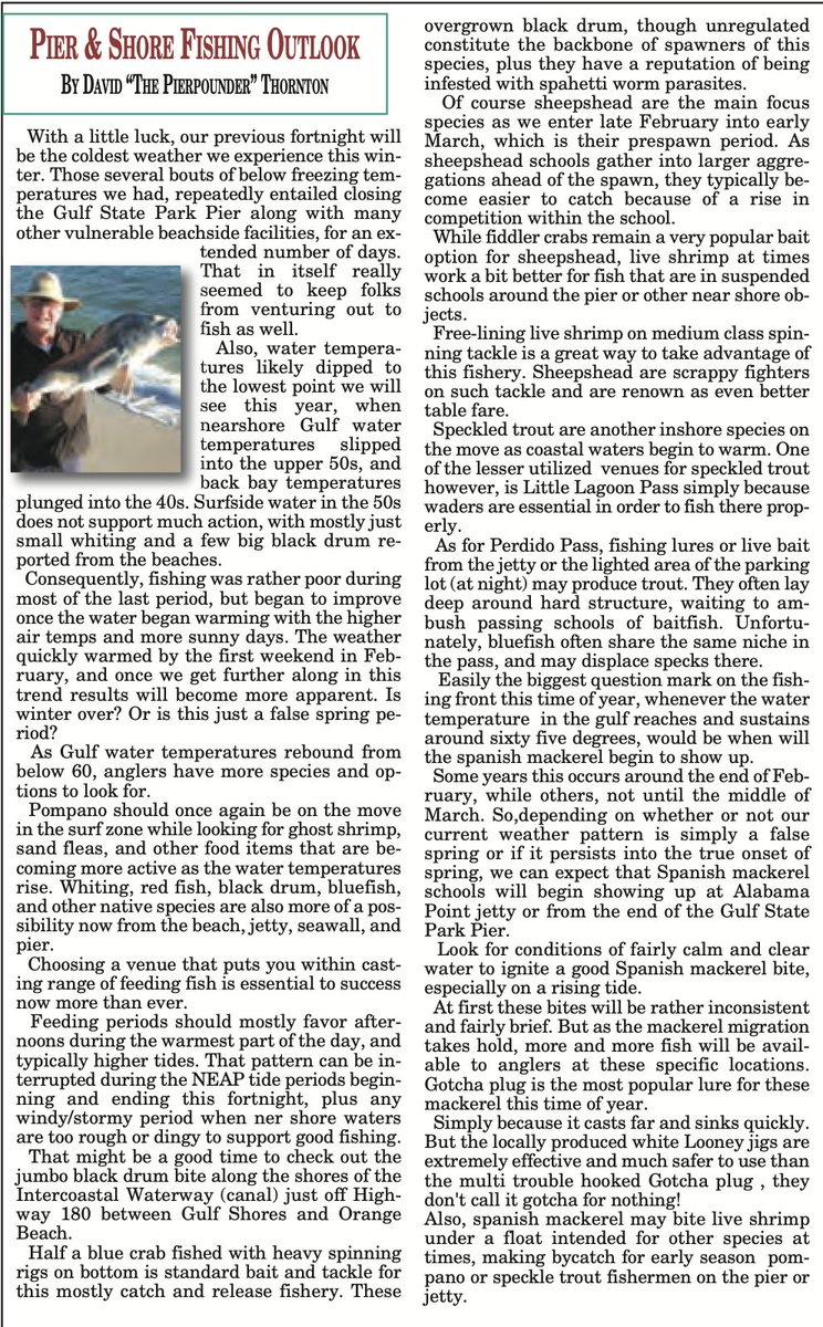 Mullet Wrapper tweet media