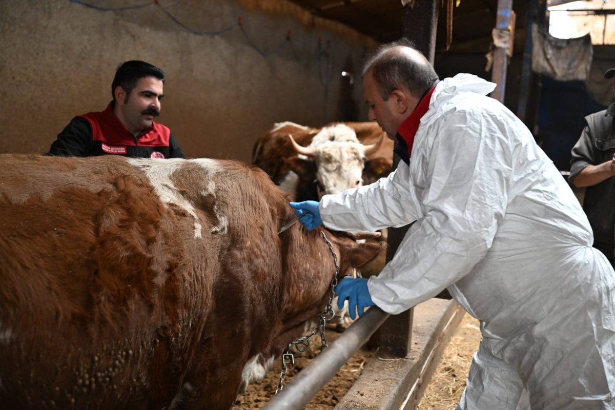 Hayvanlarını aşılatmayanlara 132 bin lira ceza uygulanacak dengegazetesi.com.tr/hayvanlarini-a… <a href="/dengegazetesi/">Denge Gazetesi</a> aracılığıyla