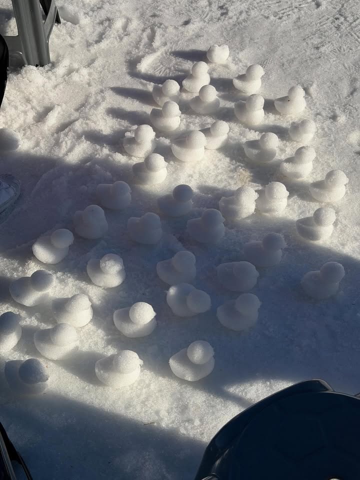 Out Of Context Lyn tweet media