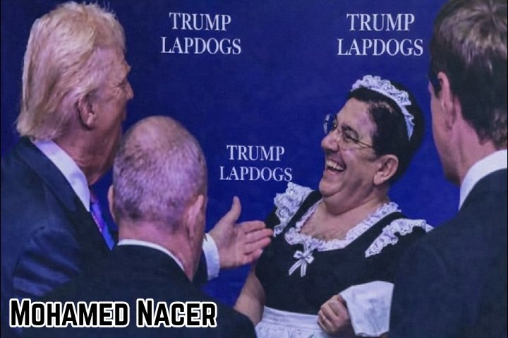 Mohamed Nacer tweet media