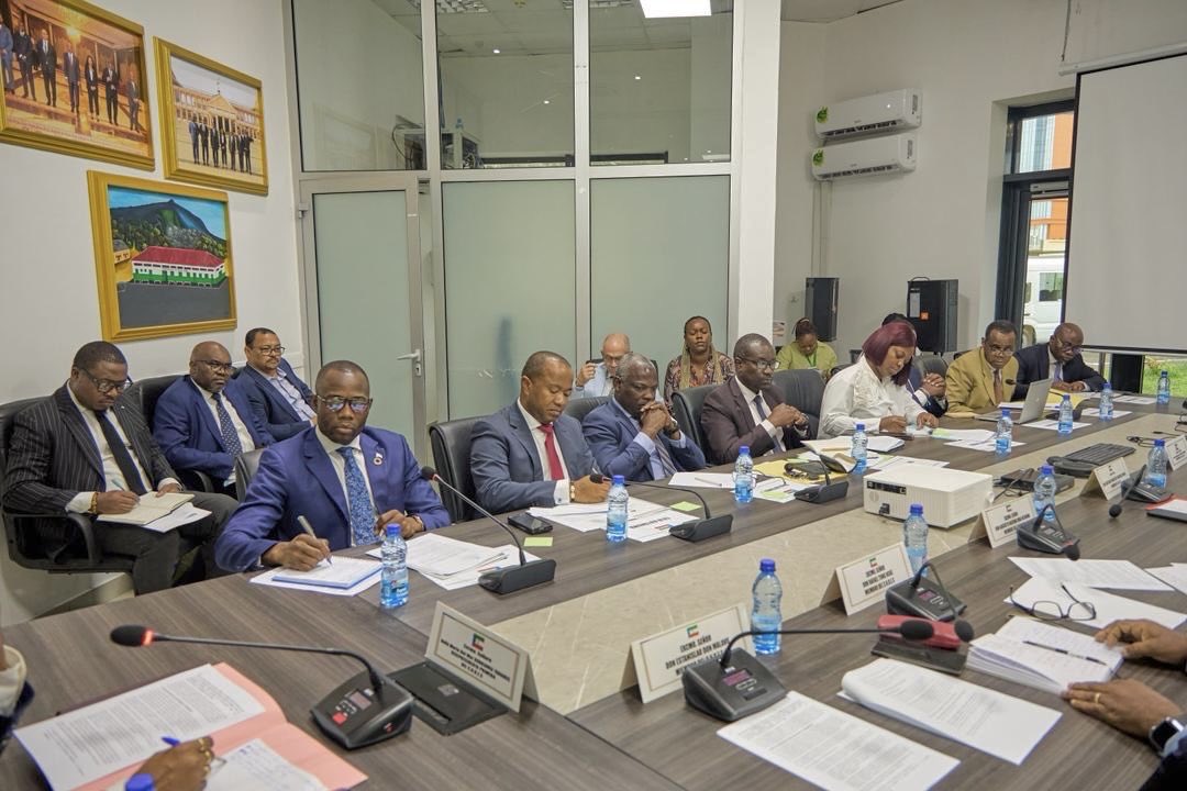 Edjang_Ruben's tweet photo. Lideré la delegación de la CAADP en la reunión con los miembros del #CNDES, enmarcada en las sesiones de concertación que mantienen con los Departamentos Ministeriales y Entidades Públicas, para identificar mecanismos que contribuyan a la mejora de la situación económica de G.E🇬🇶 https://t.co/uGytmjlC8B