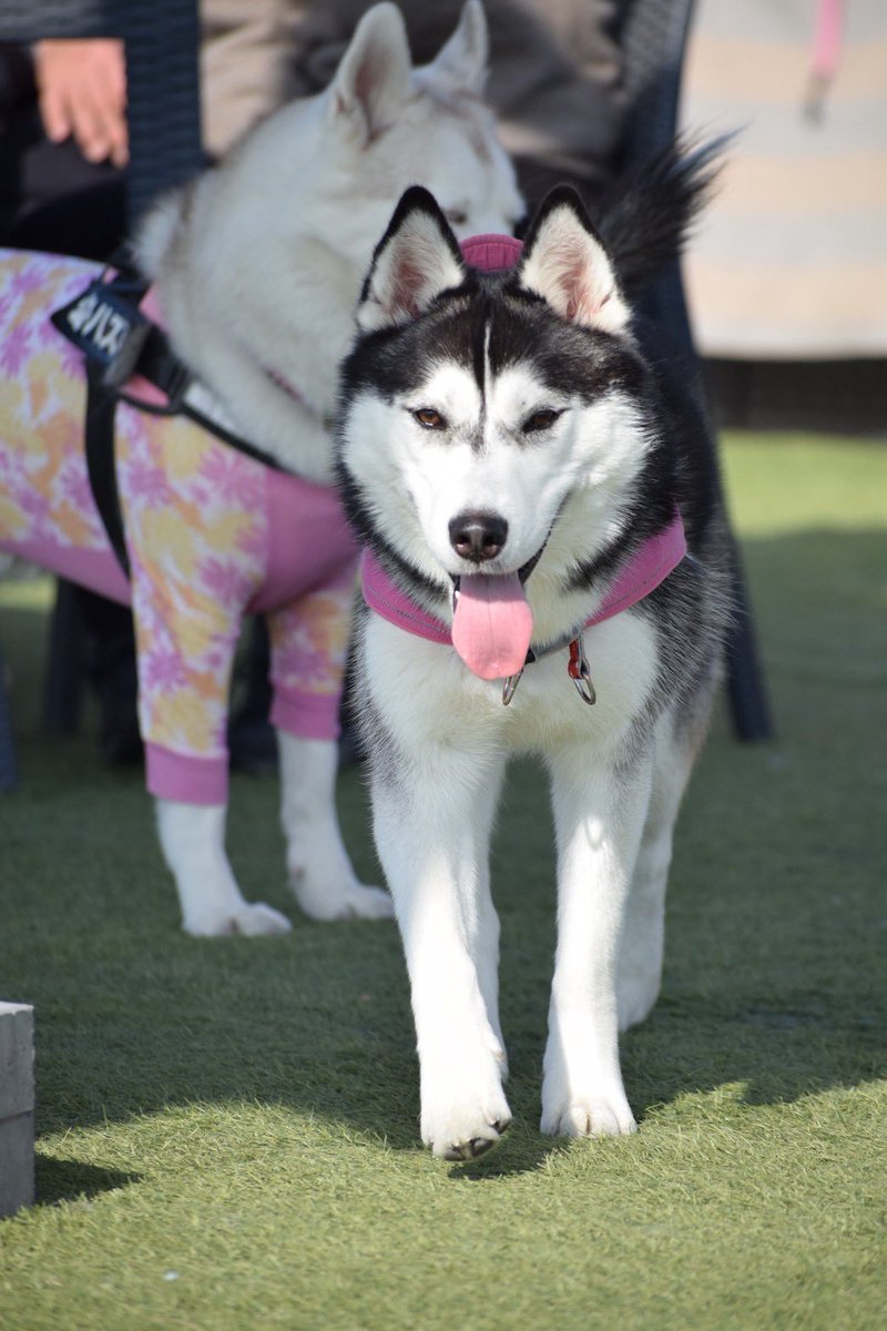 生まれて1年後🩷