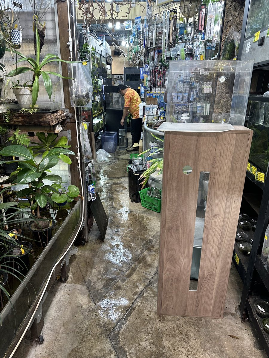 aquafield_tokyo's tweet photo. 予定外の事があり閉店できない状況へ追い込まれた…

60cmアクリルオーバーフロー水槽、台と上枠もついてセットで19800円でどなたかいかがですか🙋‍♂️

ちなみに3セットあります！

引き取りに限定となります🙏 https://t.co/F6nAlVOftA