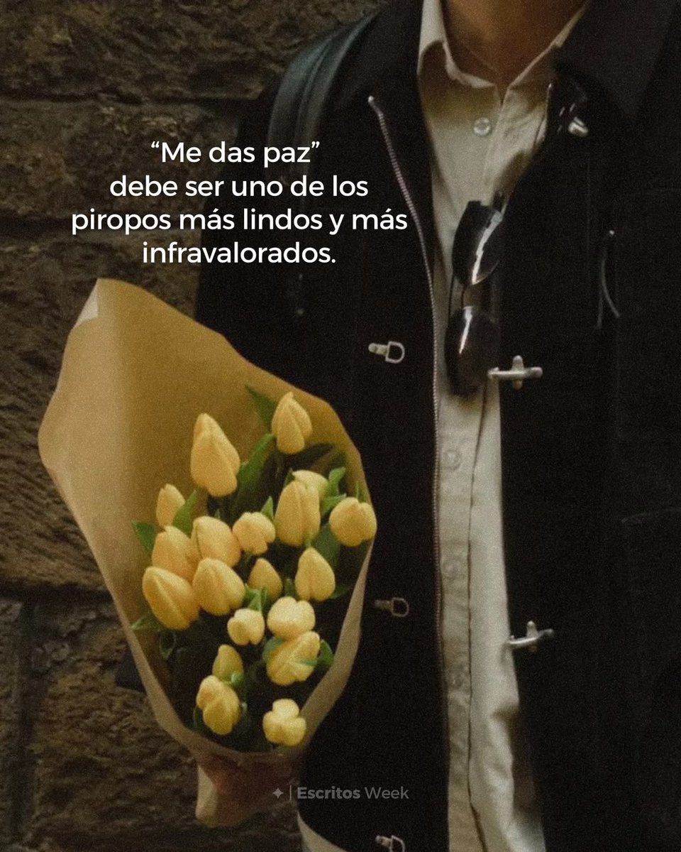 textos tweet media