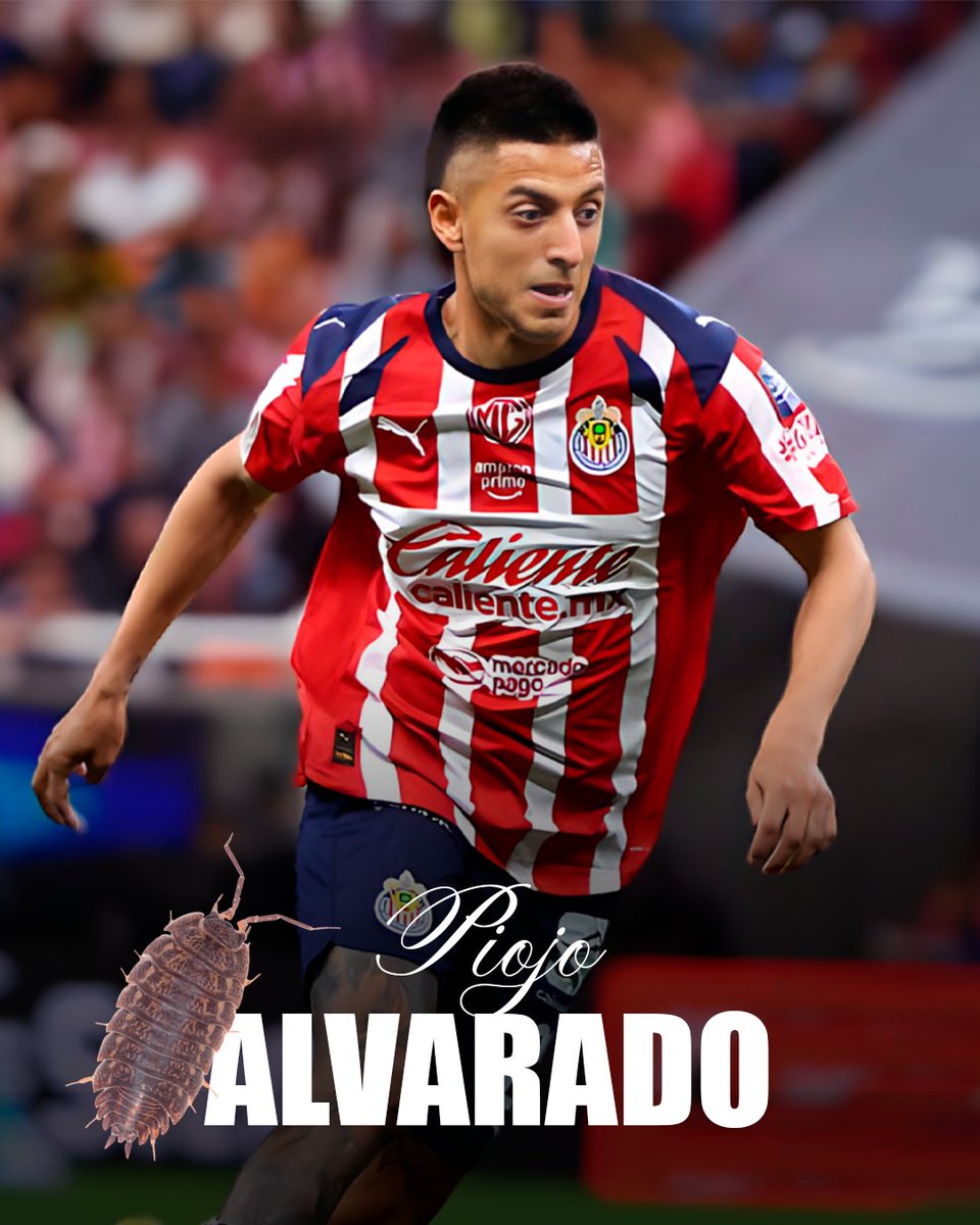 VIX's tweet image. El Zoológico de Guadalajara 😅😅

🚂 Cruz Azul 🆚 Chivas 🐐
🏆 Jornada 7
📅 Sábado 21 Febrero
⏰ 09:00 PM CDMX / 10:00 PM ET
📺 ViX Premium