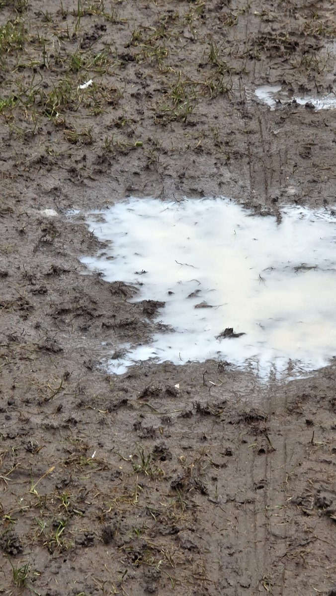 Mid Lancs Colts JFL tweet media