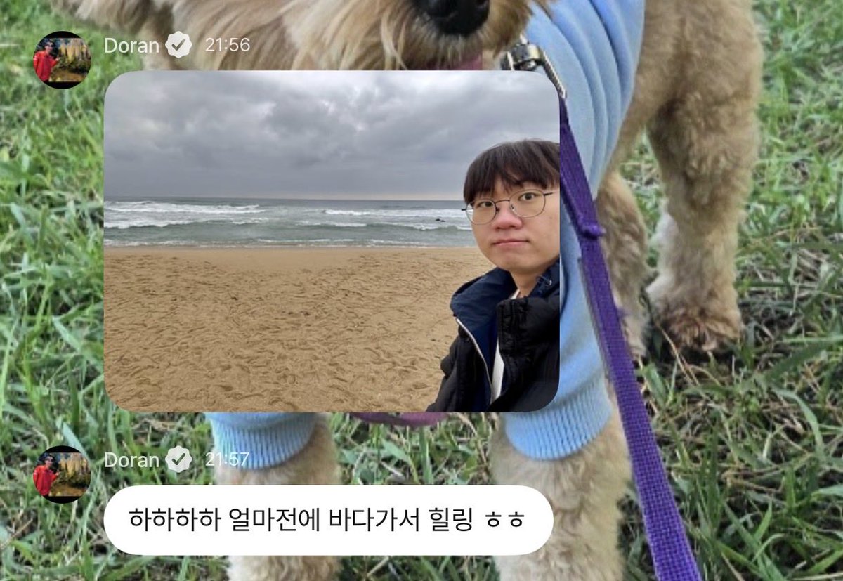 ran_do0722's tweet photo. 바다 힐링

#도란 #Doran #POP🫧 https://t.co/YPHCKVGack