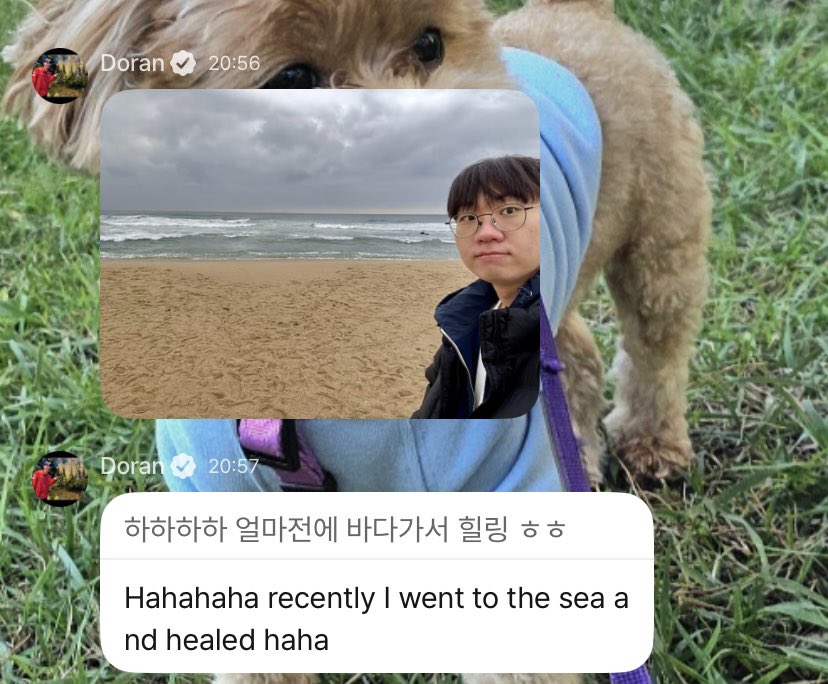 Kohee | srsly I'm back tweet media