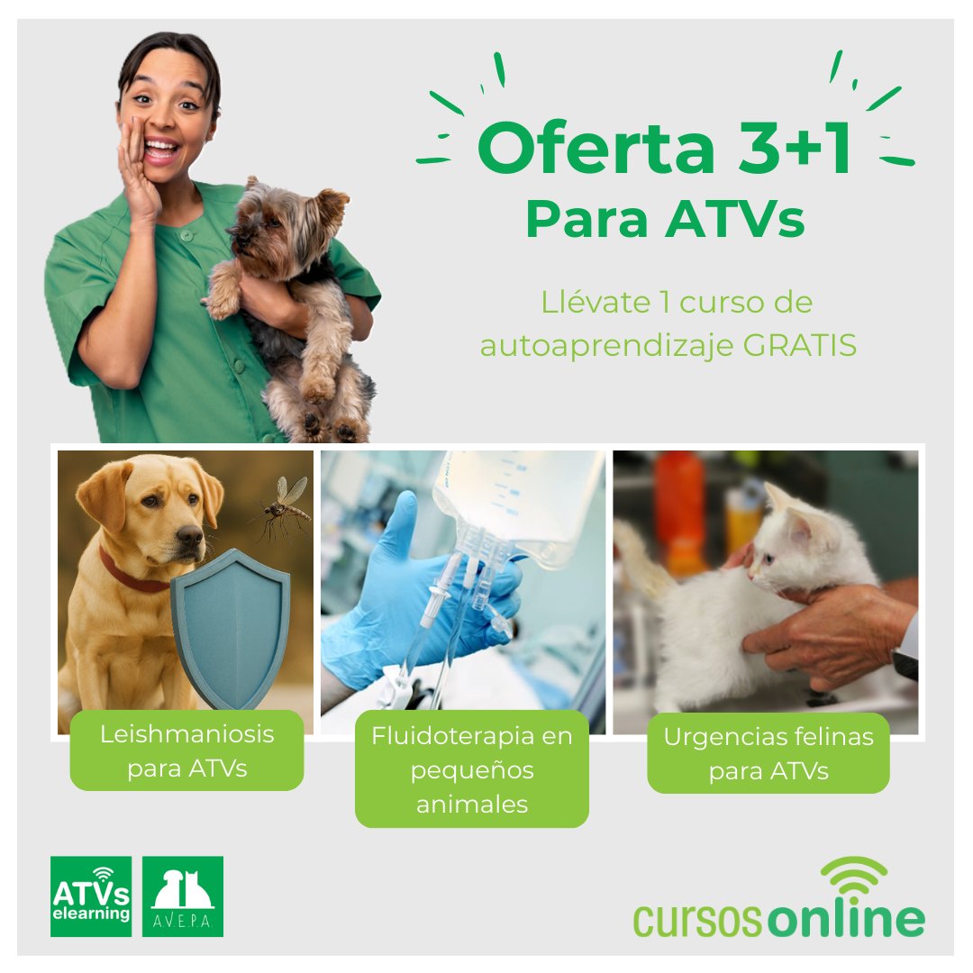 📢¡𝗢𝗙𝗘𝗥𝗧𝗔 𝟯+𝟭 𝗣𝗔𝗥𝗔 𝗔𝗧𝗩𝘀! 

Impulsa la formación de tu equipo: compra el pack conjunto de 3 cursos con experto para ATVs y llévate GRATIS 1 curso de autoaprendizaje (10 opciones disponibles).

⏳ Inscripciones hasta el 26 de marzo 2026.

ℹ️formacion.avepaelearning.com/course/info.ph…