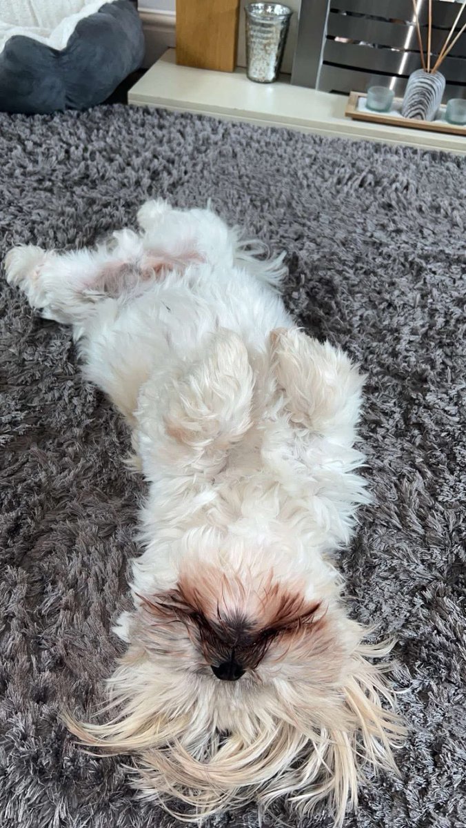 Kyle Talbot tweet media