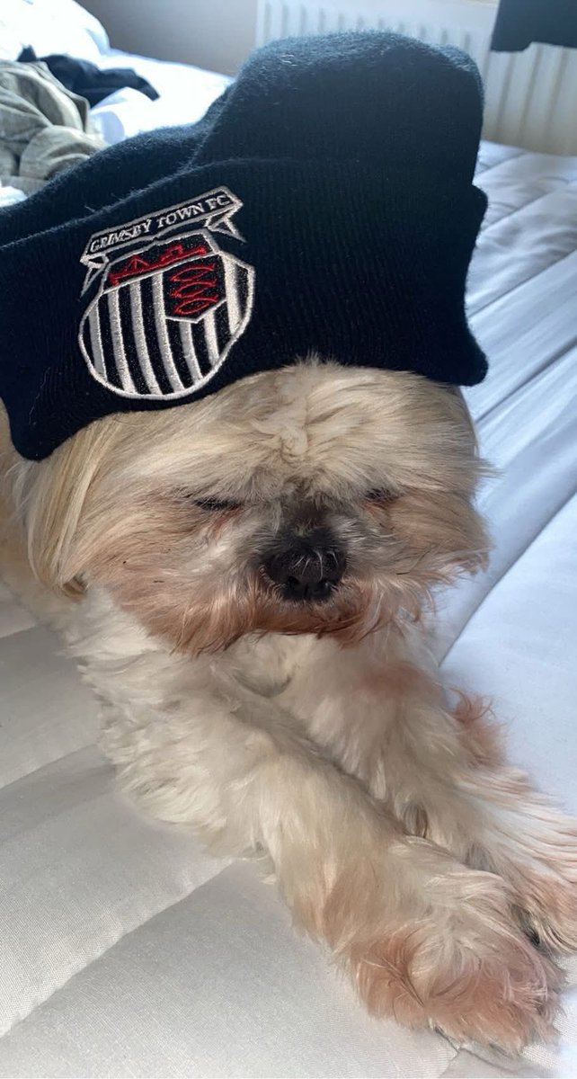 Kyle Talbot tweet media