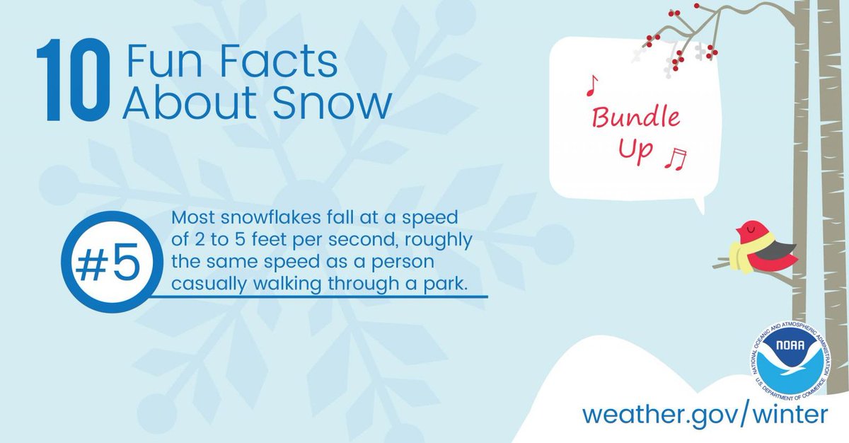 It takes a snowflake roughly an hour to reach the ground after leaving its cloud. 

#LNEMA
