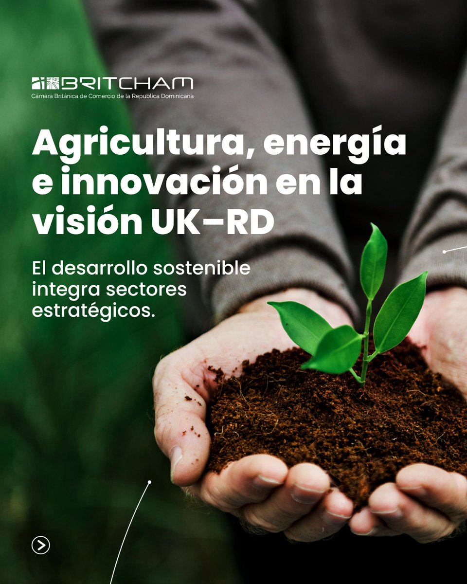 BritchamDR tweet media