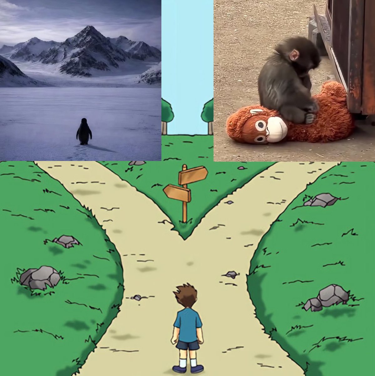 which way sensitive young man?