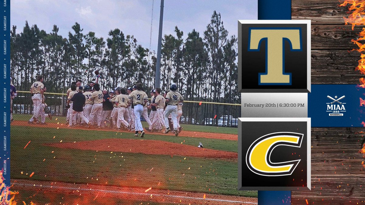 Trine Baseball tweet media