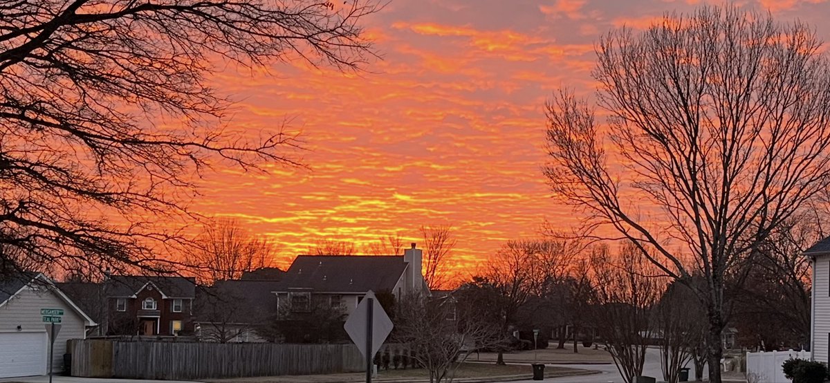 Christopher Keevil tweet media