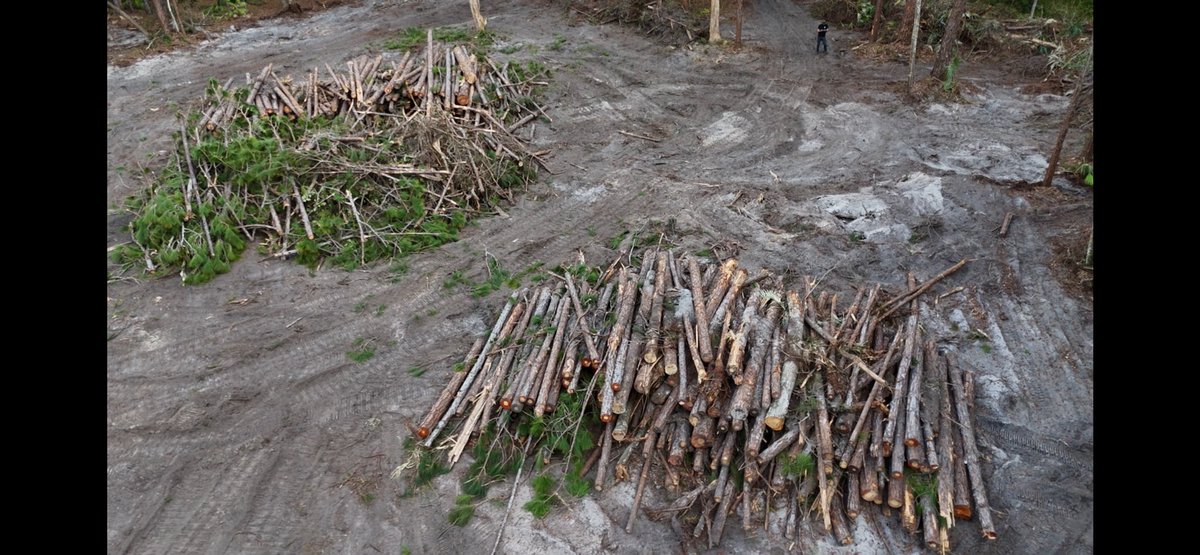 Jeremiah tweet media