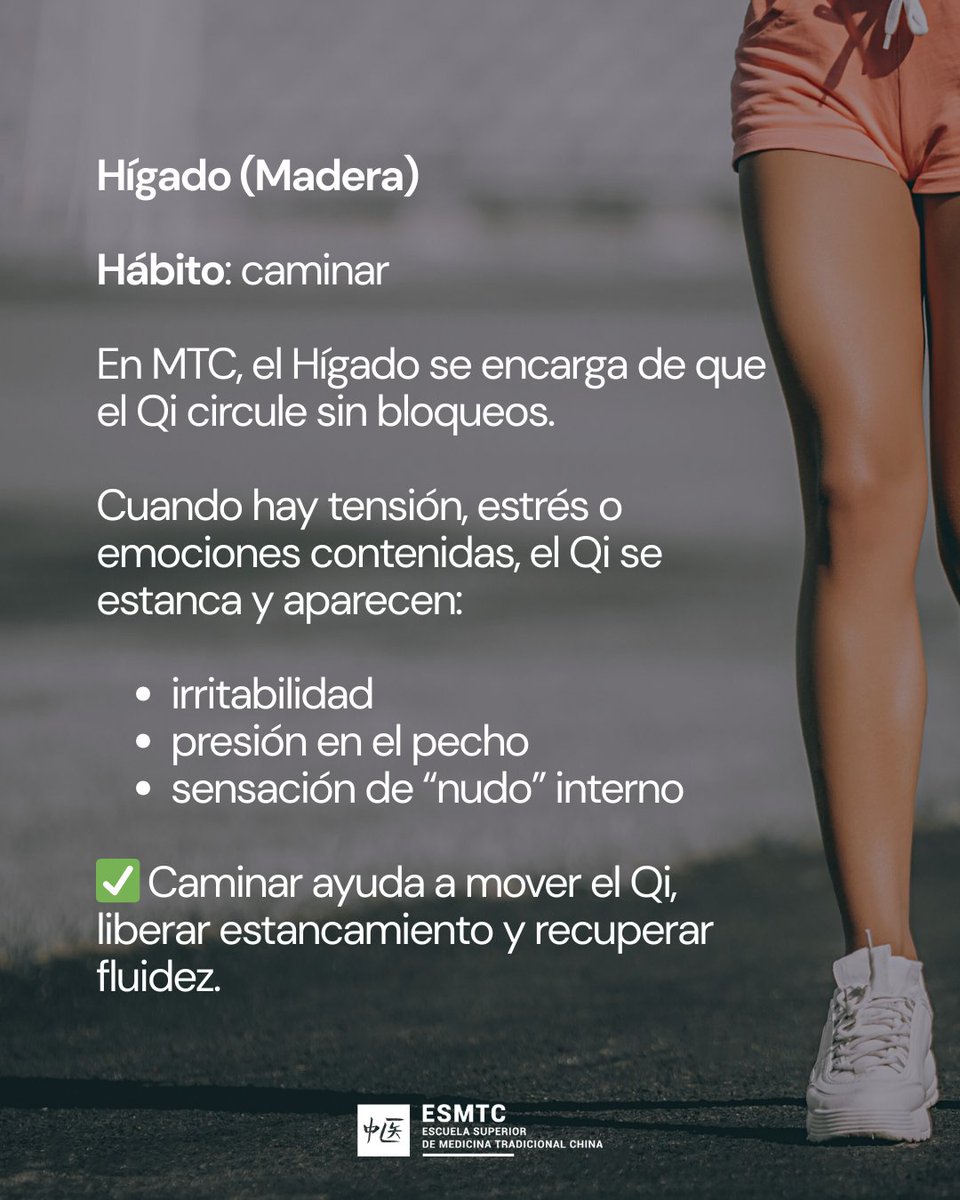 Escuela de MTC tweet media