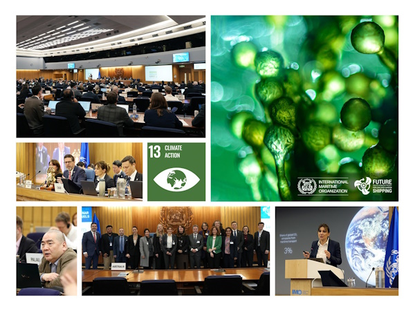 HELLENICSHIP's tweet image. Technical seminar explores use of #biofuels in #shipping #decarbonization #GHG #emissions 
hellenicshippingnews.com/technical-semi…