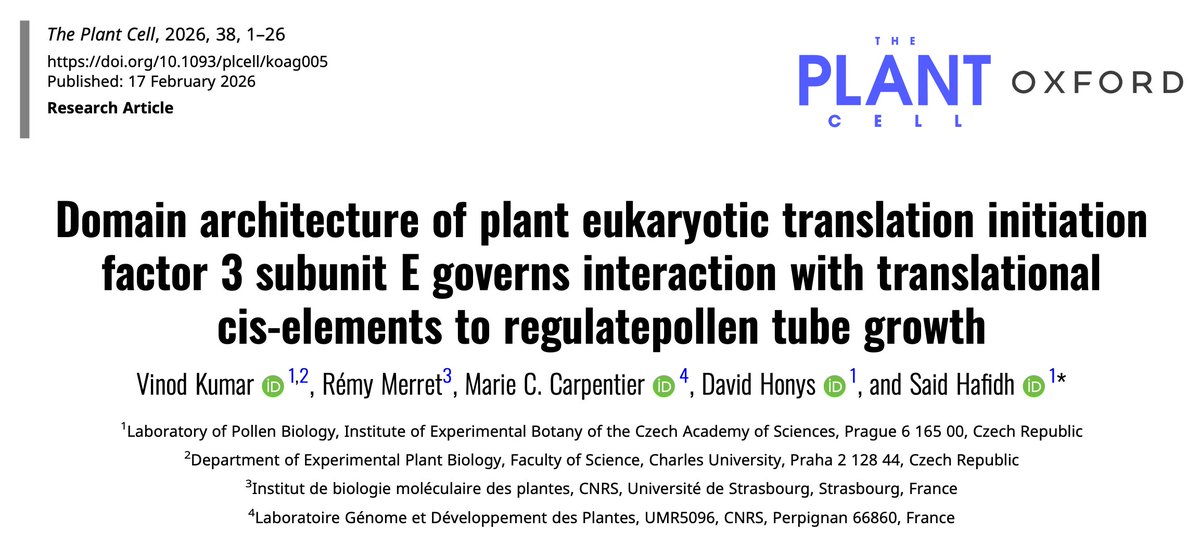 David Honys tweet media