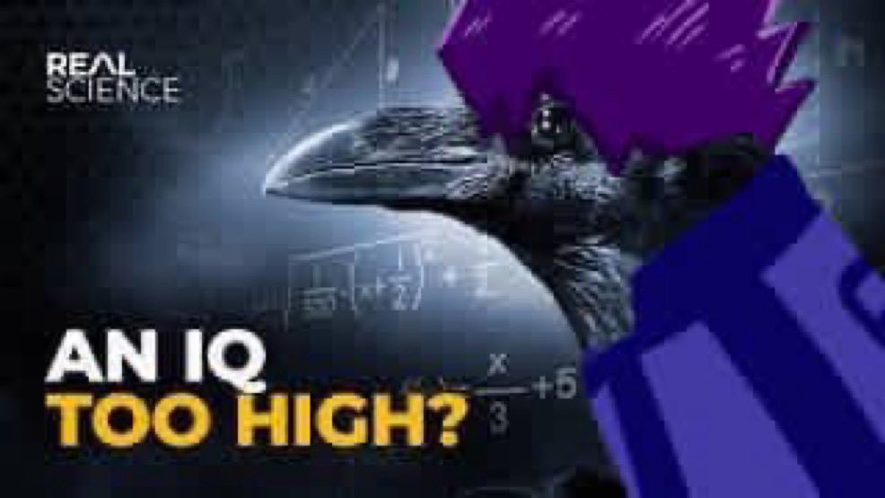 izukacha's tweet image. 