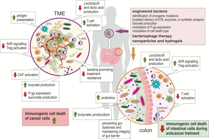 Michal Masarik tweet media