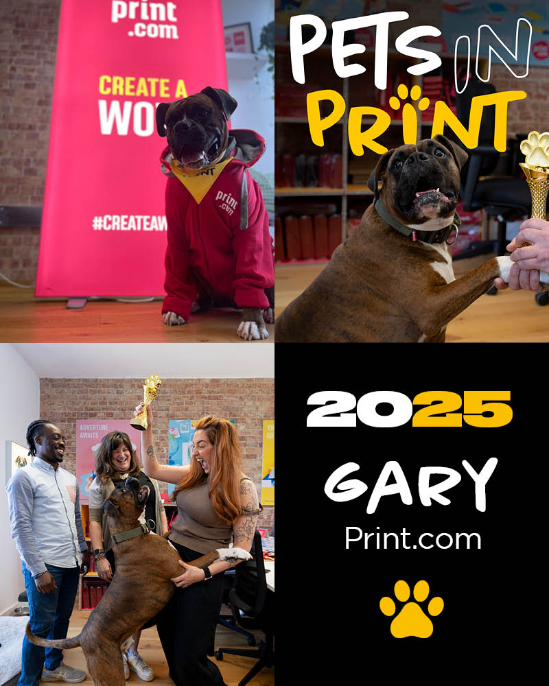 Innotech Digital tweet media