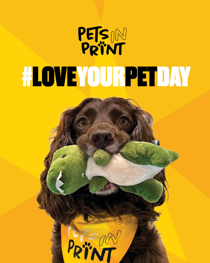 Innotech Digital tweet media