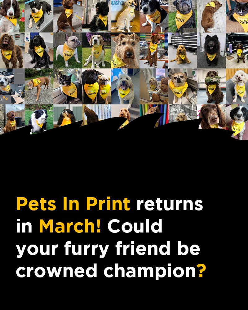 Innotech Digital tweet media