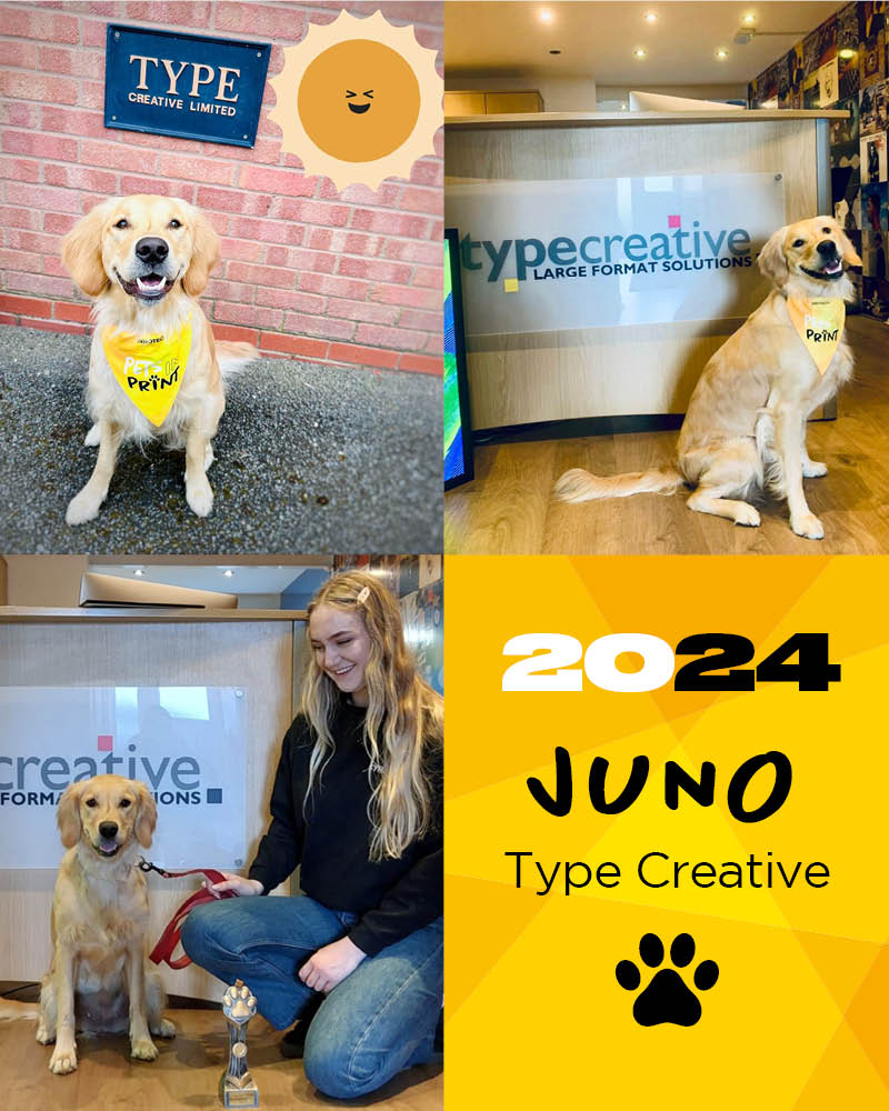 Innotech Digital tweet media