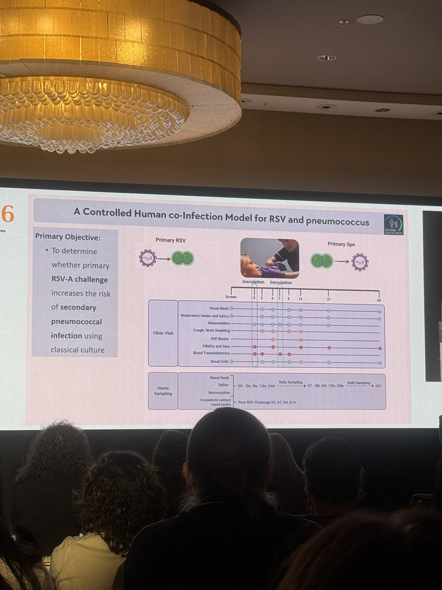 Sabrina Kitaka tweet media