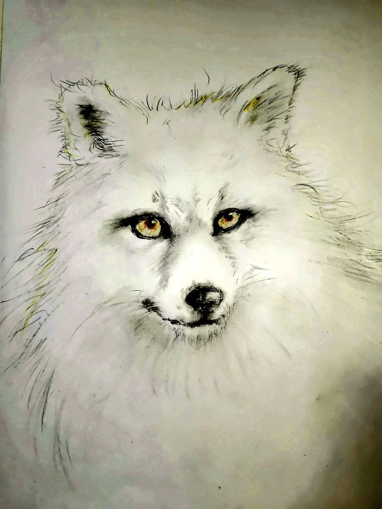 白いふわふわな狐さんのつもり🦊 動物描くのって久しぶりなので以前の