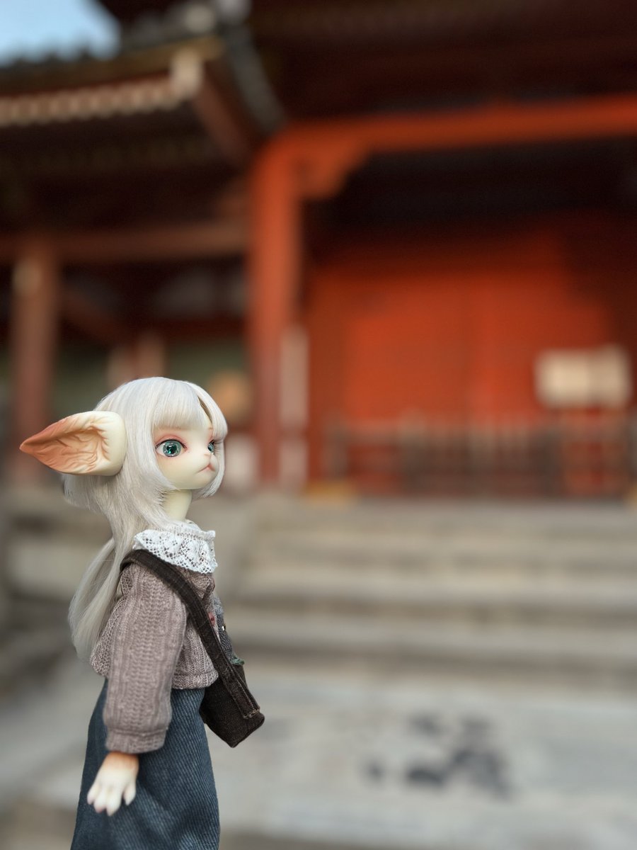 「鹿さんは何処かにゃ〜
　ﾌﾝﾌﾝ…これが神社の空気…」