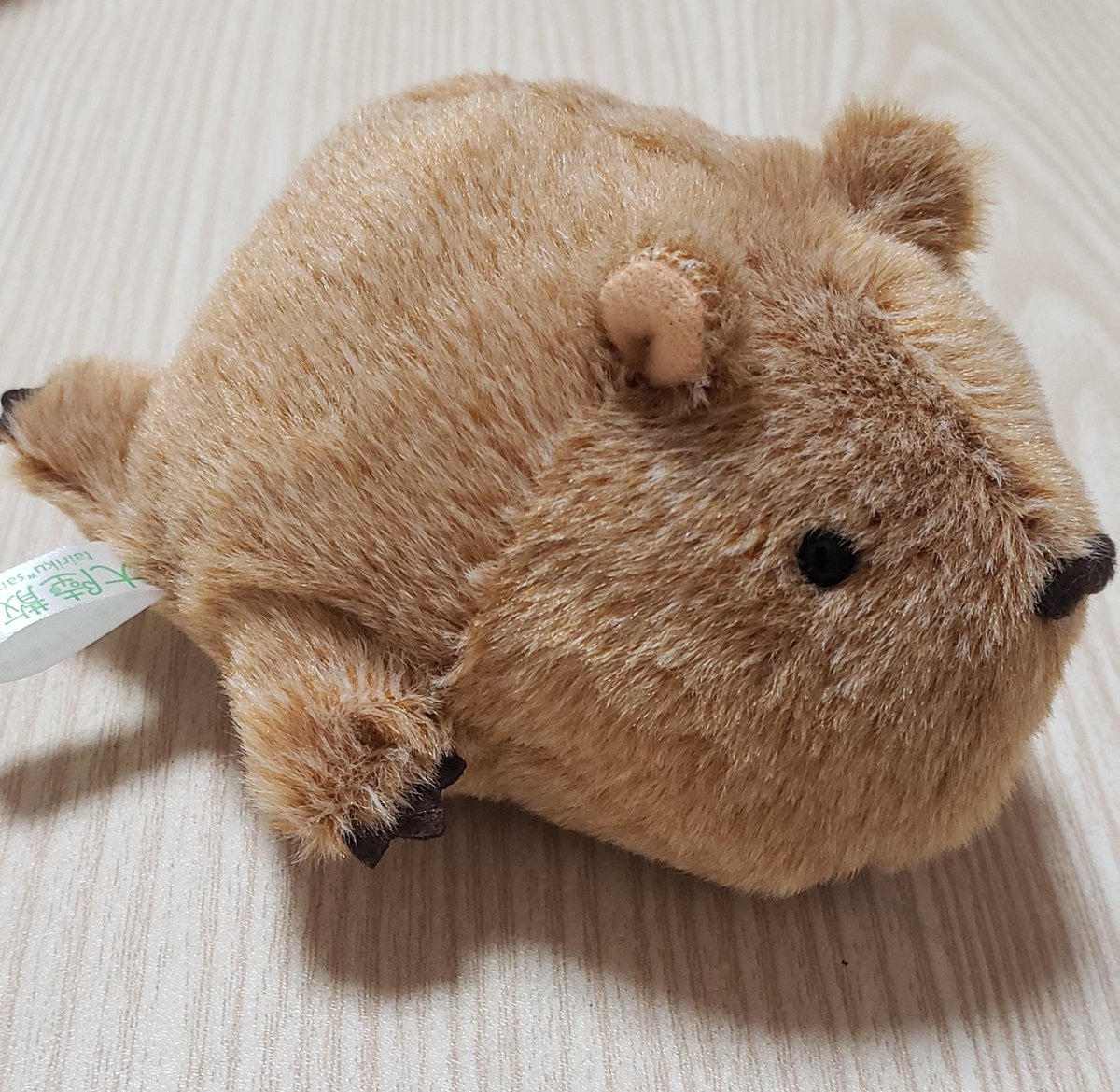 ぽちゃまるカピバラ買った。
可愛い❤️