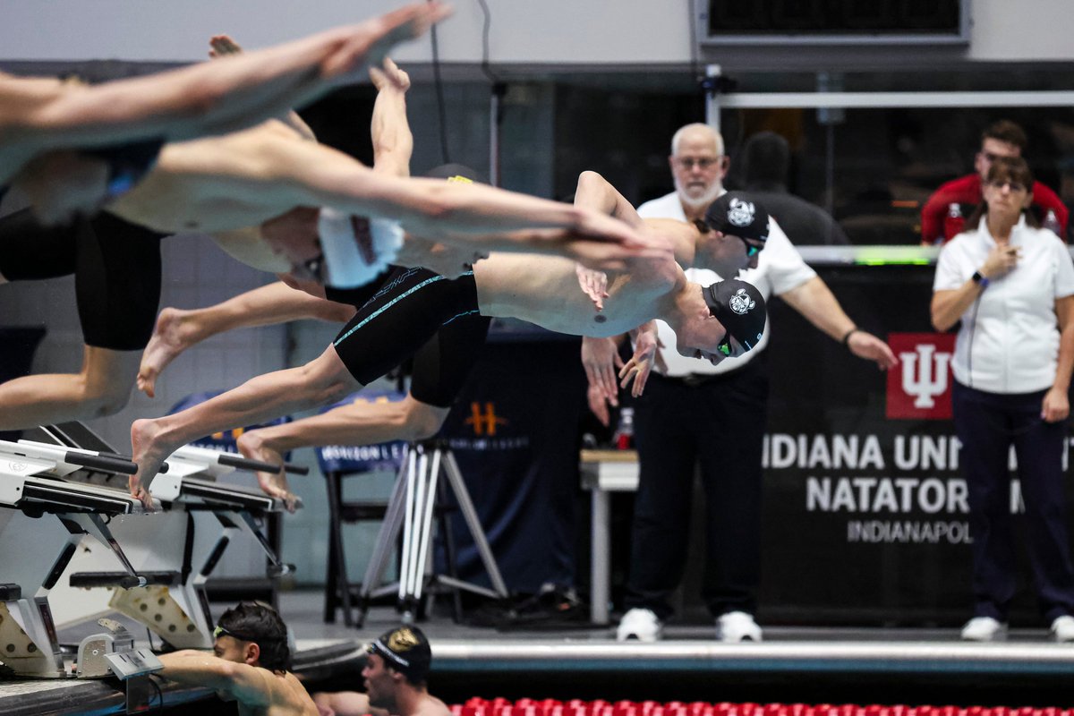 CSU Swim & Dive tweet media