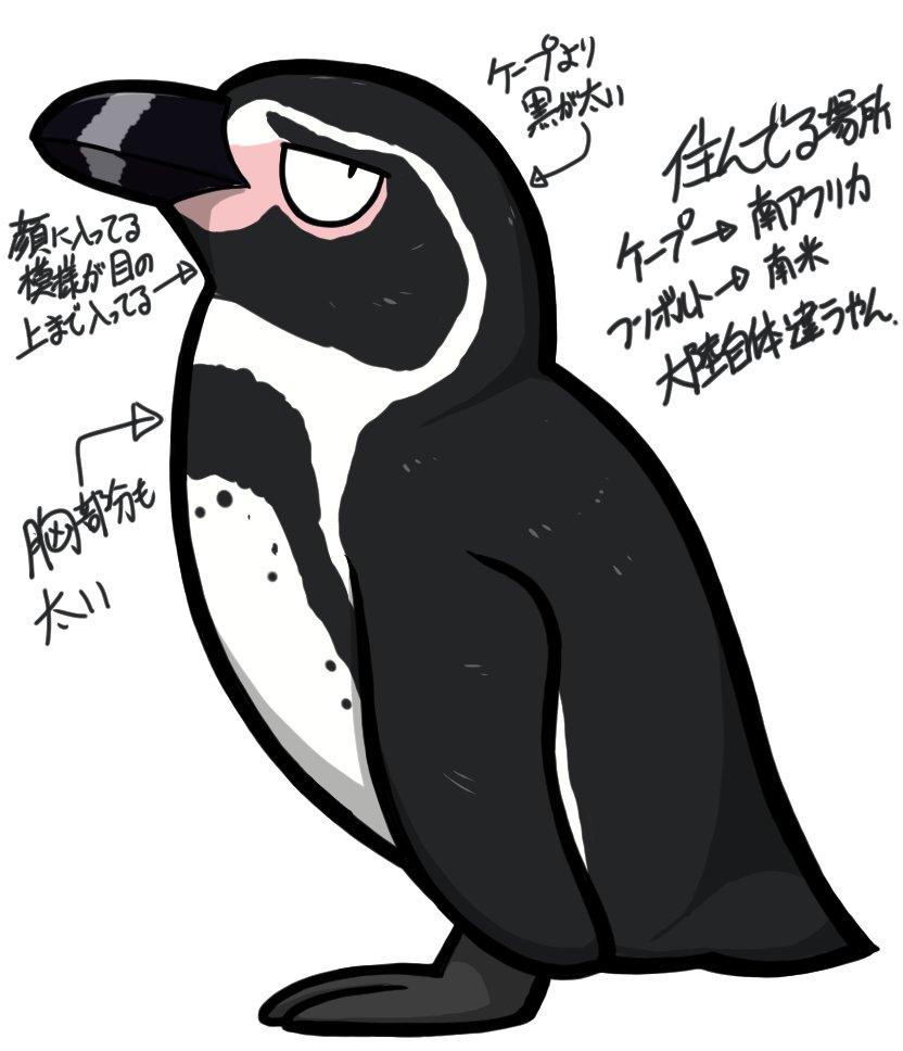 これはフンボルトペンギン #ペンギン