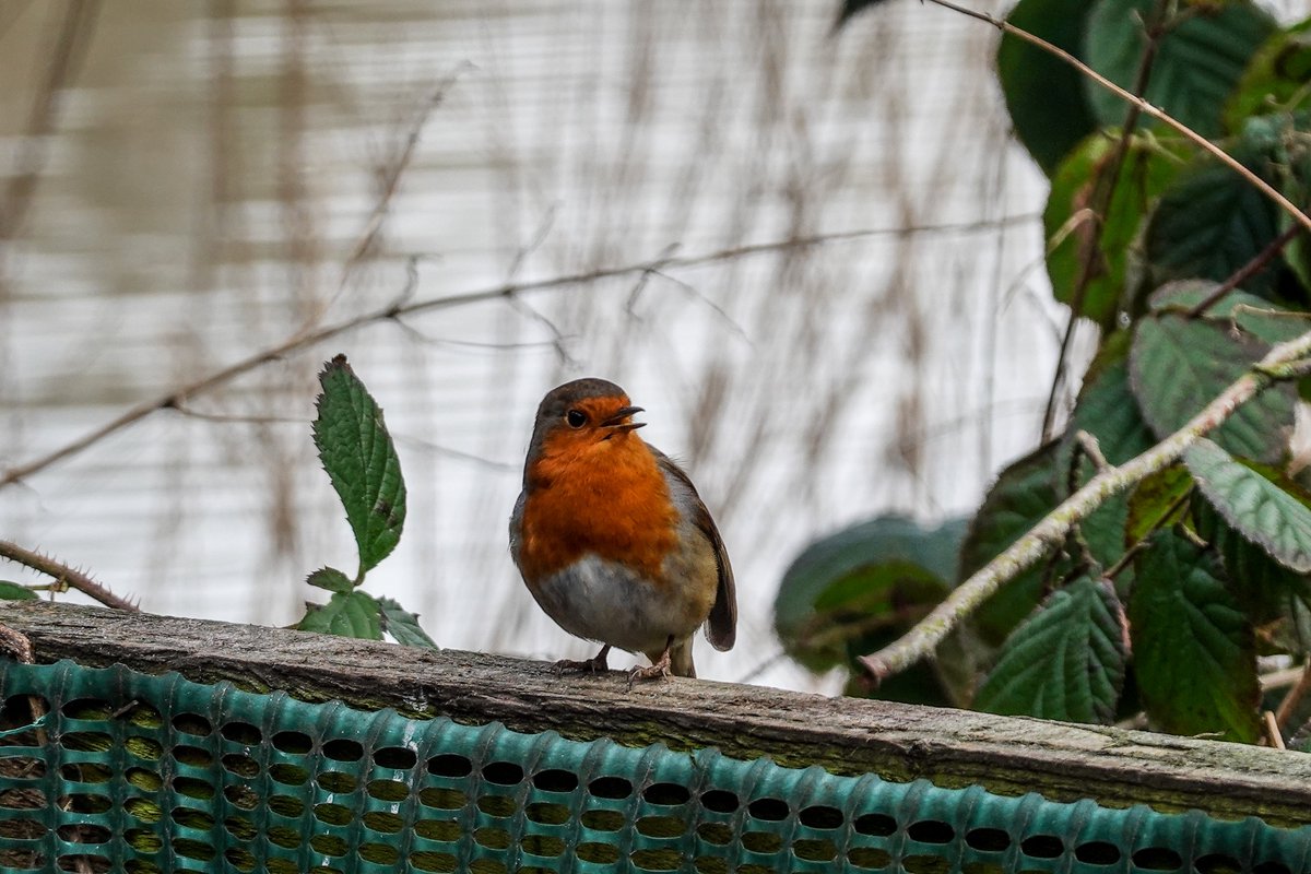 Martin Paterson 🏴󠁧󠁢󠁳󠁣󠁴󠁿 tweet media