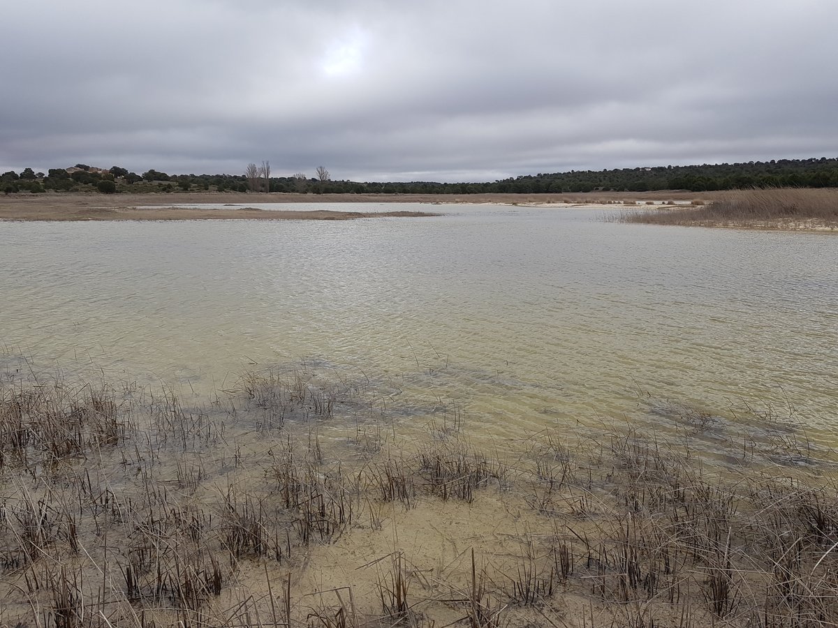 PNLagRuidera's tweet photo. Comienza a entrar agua en la laguna Blanca. La lluvia caída en las últimas semanas empieza a aflorar. https://t.co/cG3RSflzCU