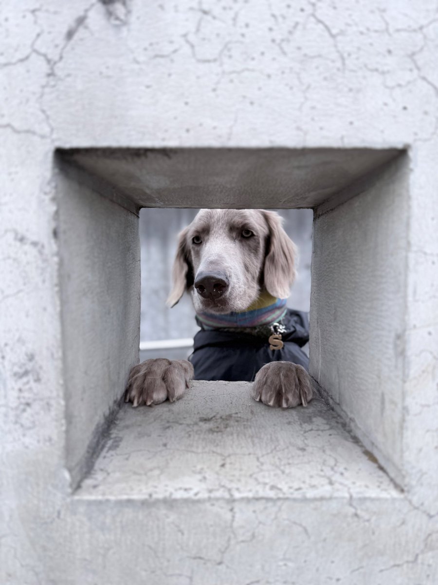 bichachweim's tweet photo. 採尿コップを置くのはここですか？ https://t.co/UjcEY9Kcf3