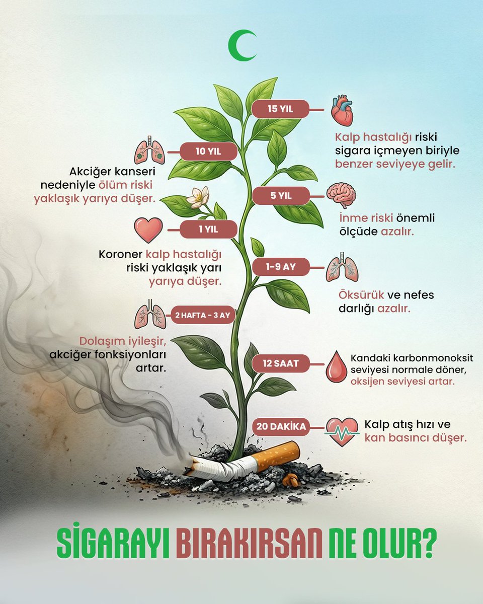 Değişim için 20 dakika bile yeter; sigarayı bıraktığın anda vücudun iyileşmeye başlar.

#Yeşilay #BağımlılıklarlaMücadele